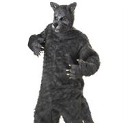 Big Bad Wolf Costume
