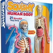 Squishy Human Body