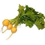 Yellow  Turnips