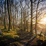 Sharpenhoe Clappers, Bedfordshire, England