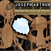 Joseph Arthur - Our Shadows Will Remain