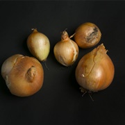Ugly Yellow Onion