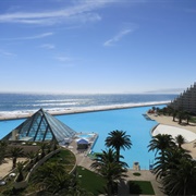 Swim in the Largest Pool in the World at San Alfonso Del Mar, Chile