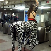 Subway Zebrataur