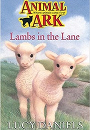 Lambs in the Lane (Lucy Daniels)