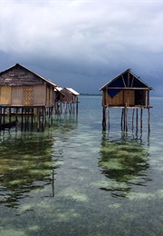 The Call From the Sea (2016)