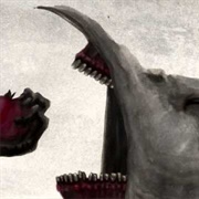 The Crow and the Raven