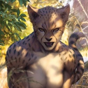 Cheetah