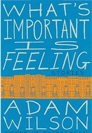 What's Important Is Feeling (Adam Wilson)