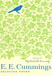 Selected Poems (E.E. Cummings)