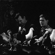 " Pigeons From Hell" Thriller