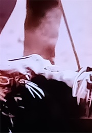 Martini Ranch: Reach (Cameron) (1988)