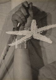 Starfish (1928)
