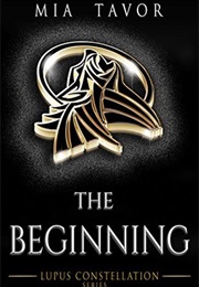 The Beginning (Mia Tavor)
