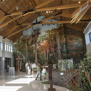 Audubon Louisiana Nature Center