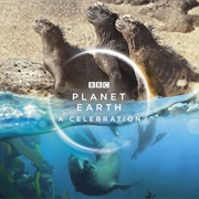 Planet Earth a Celebration