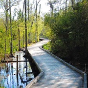 Goose Creek State Park