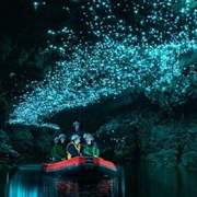 Waitomo Glowworm Caves, New Zealand