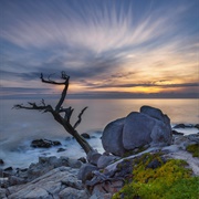 Carmel & 17 Mile Drive, California