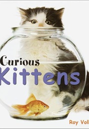 Curious Kittens (Roy Volkmann)