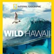Wild Hawaii