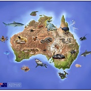 Australia (Greatest Number of Dangerous Species)