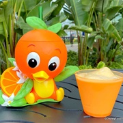 Orange- Lemon Smoothie