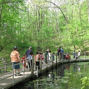 Leslie Science & Nature Center, Ann Arbor