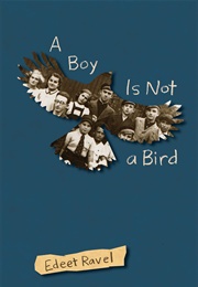 A Boy Is Not a Bird (Edeet Ravel)