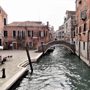 Eat Seafood in Venice