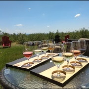 Vignoble Coteau Rougemont