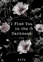 I Find You in the Darkness (Alfa Holden)