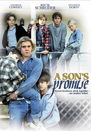 A Son's Promise (1990)