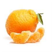 Ugly Valencia Orange