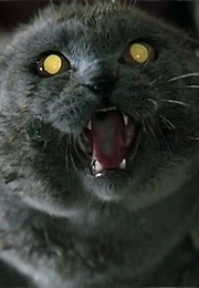 Winston Churchill From Pet Sematary (1989)