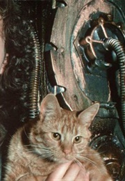 Jonesy From Alien (1979)