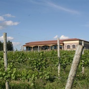Ventosa Vineyard, Finger Lakes, NY