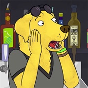 Bojack Horseman: 6X04- "Surprise!"