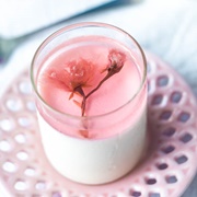 Cherry Blossom Panna Cotta