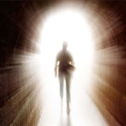 The Afterlife