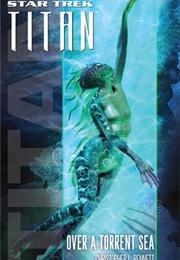 Star Trek Over a Torrent Sea (Christopher L Bennett)