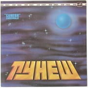 Gunesh Ensemble - Looking at the Earth