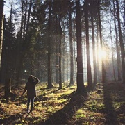 Sleep in the Forest After You Watched a Horror Movie