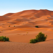Western Sahara (Disputed)