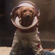 Cosmo the Spacedog
