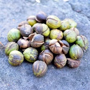 Hickory Nuts