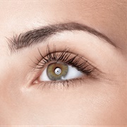 Use Vaseline on Lashes Every Night for Growth