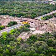 Phil Hardberger Park