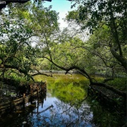 Mangalavanam Bird Sanctuary
