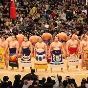 Attend a Sumo Tournament